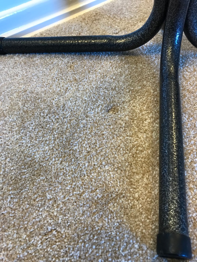 silver-vein-excellent-sample-photo-left-side-legs